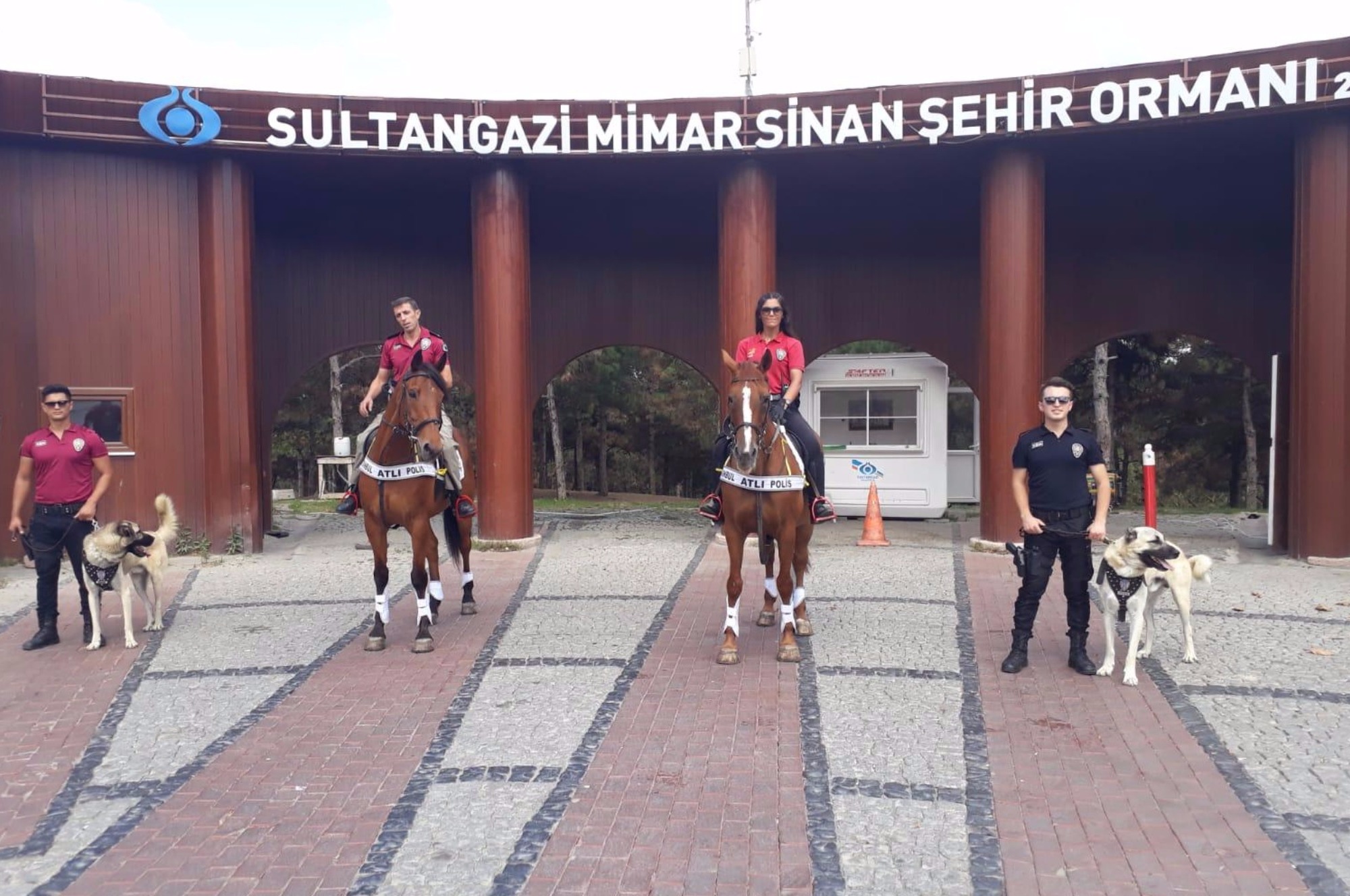 Polis Atlı Birlikleri Sultangazi Şehir Ormanları'nda