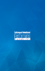 2017 YILI PERFORMANS PROGRAMI